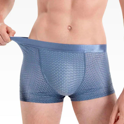 Set boxershorts voor heren - Ian