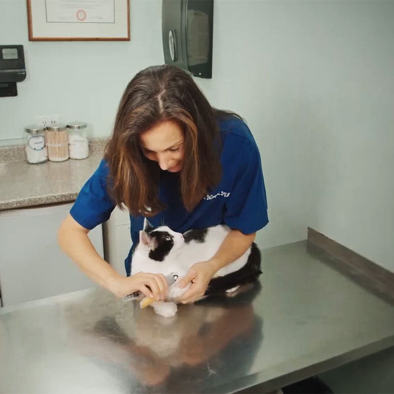 Nagelknipper voor honden met Quick Sensors