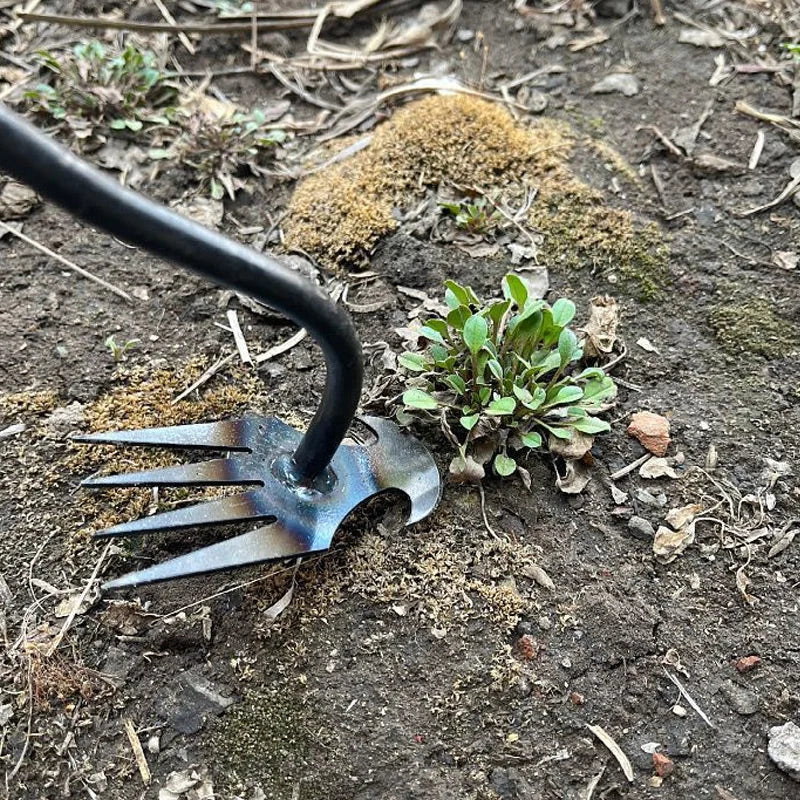 2-in-1 Onkruidveger Grasverwijderaar